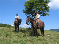 Allevamento del Talozzo