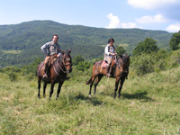 Allevamento del Talozzo