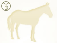 nessuna foto disponibile