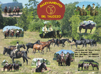 Allevamento del Talozzo