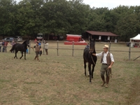 Arzillo e Aneto del Talozzo