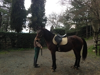 Ufficiale del Talozzo 2014