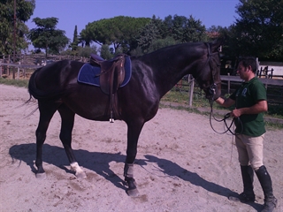 Arzillo del Talozzo 2014