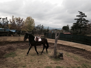 Bastiano del Talozzo 2014