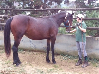 Euforia del Talozzo 2017