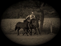 I Butteri alla presentazione della razza Maremmana